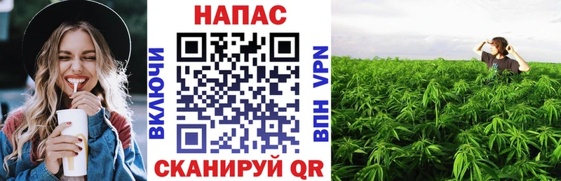 где купить наркотик  Солнечногорск  МАРИХУАНА LSD WEED 